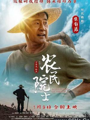 局中局