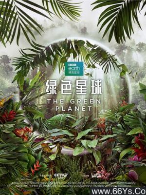 掌心之光